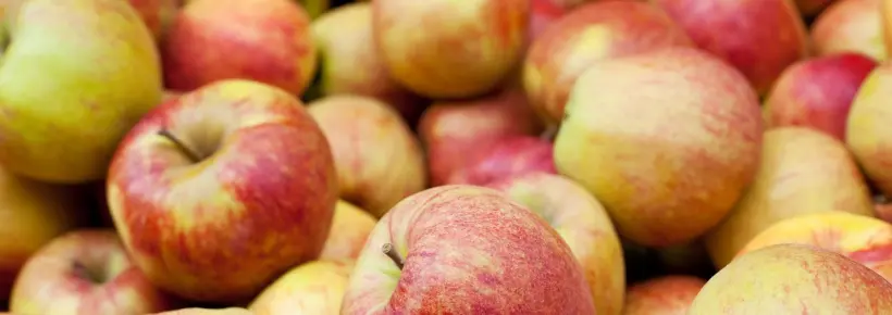 bild apfel