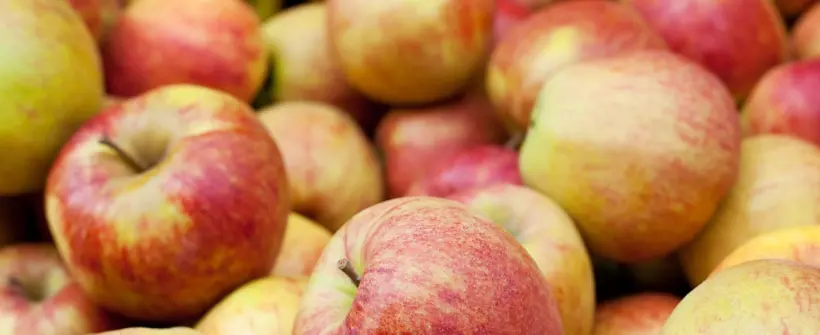 bild apfel