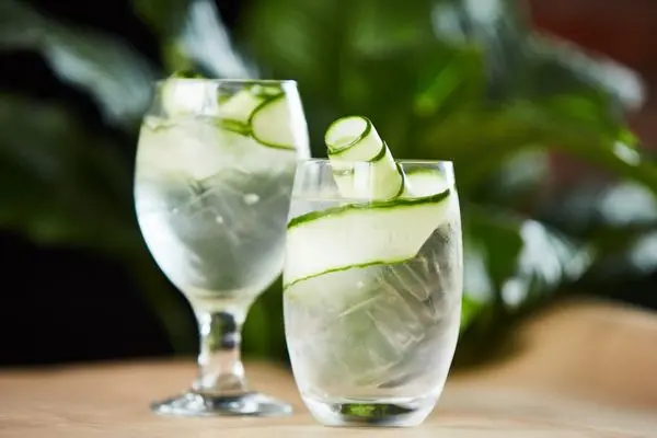 Gin-Tonic-Canva-600x400px